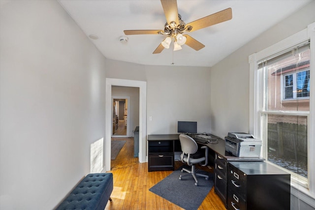 home office featuring ceiling fan and light wood-type flooring