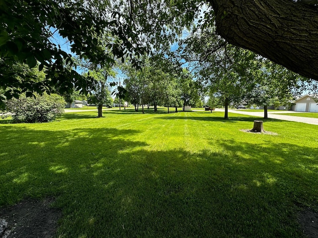 view of yard