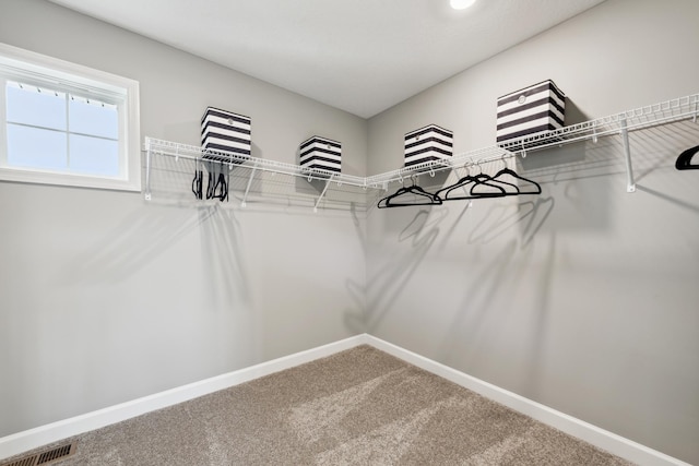 walk in closet featuring carpet floors