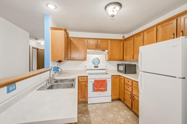 kitchen with under cabinet range hood, white appliances, light countertops, and a sink
