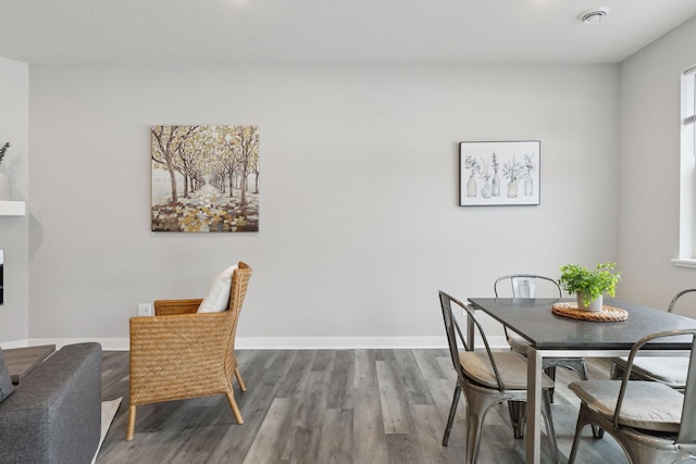 dining space with wood-type flooring and a wealth of natural light