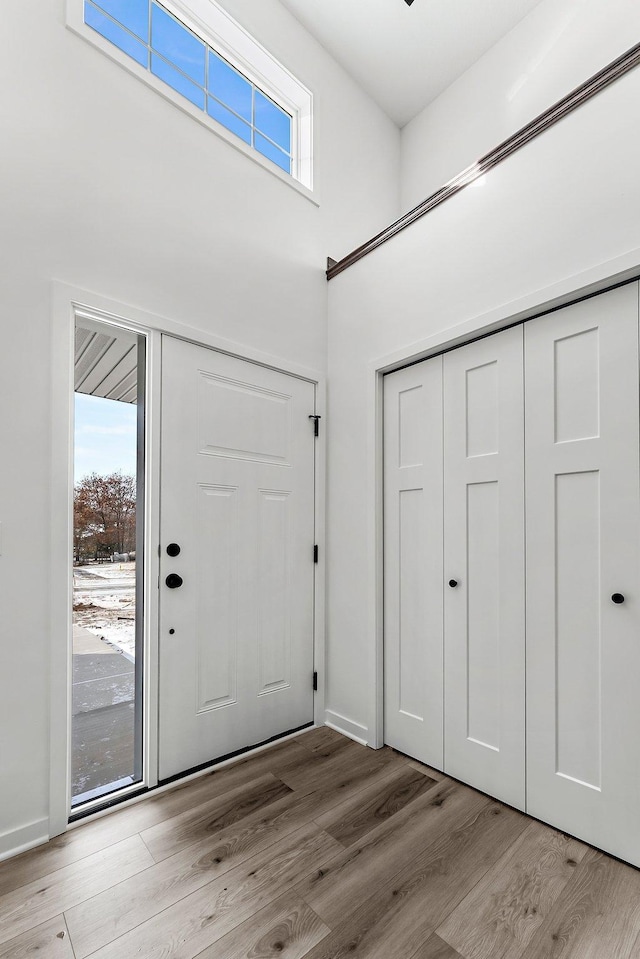 foyer featuring a healthy amount of sunlight and light hardwood / wood-style flooring