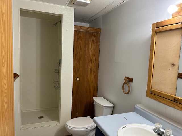 bathroom with a shower, vanity, and toilet