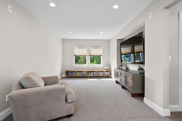 living room with carpet flooring