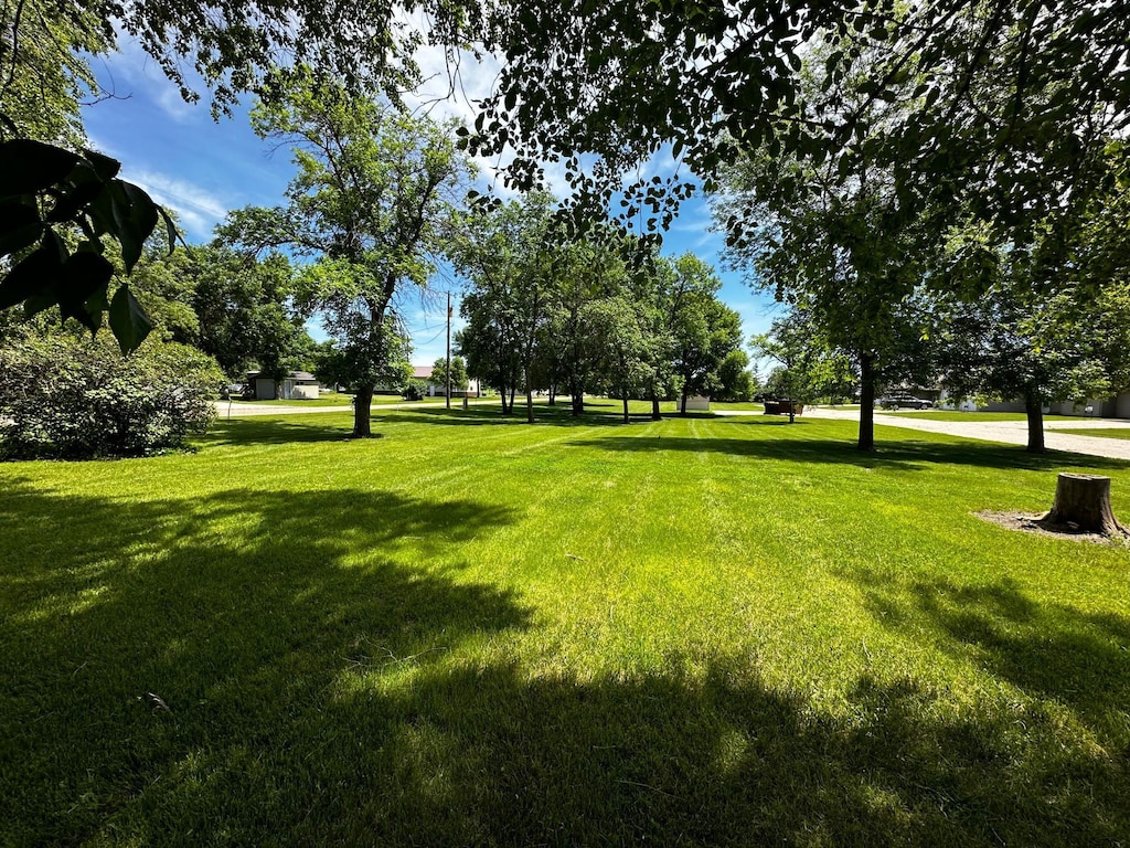 view of home's community with a yard