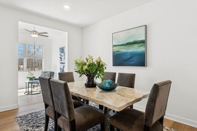 dining room with ceiling fan and light wood-type flooring