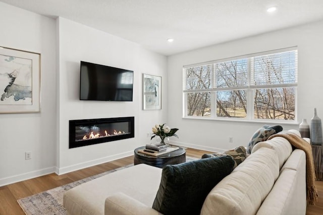 living room with wood-type flooring