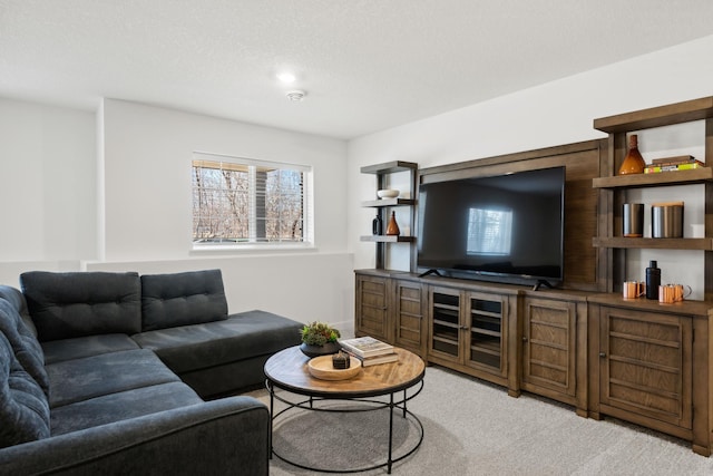 living room featuring light colored carpet