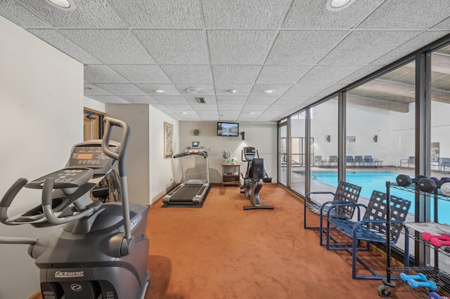 workout room with floor to ceiling windows, carpet flooring, and a drop ceiling