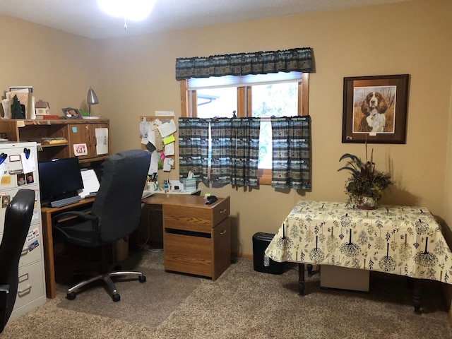 view of carpeted office space