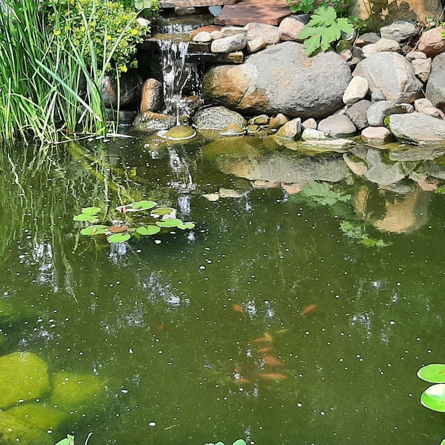 exterior details featuring a small pond