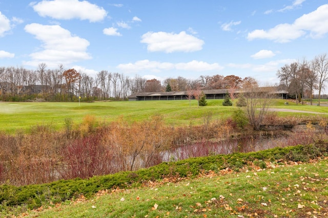 view of green lawn