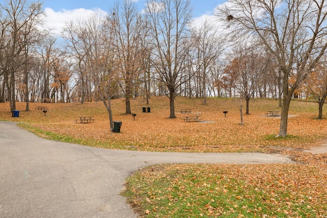 view of home's community
