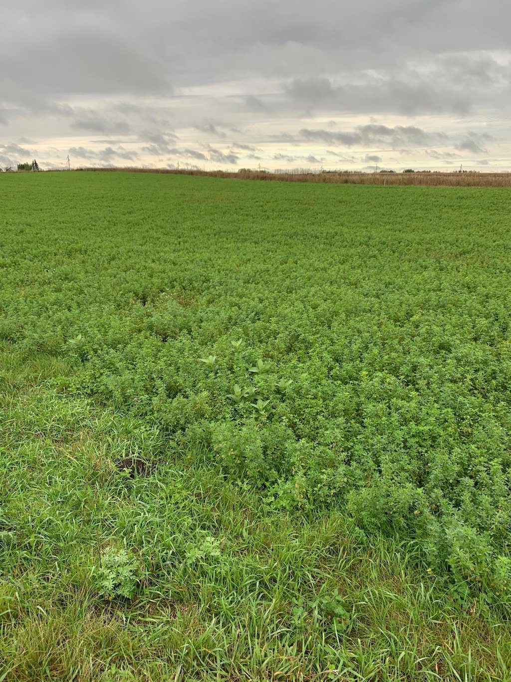 10630 Marty View Cir, Kimball, MN 55353