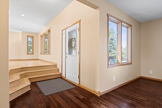 entrance foyer with dark hardwood / wood-style flooring