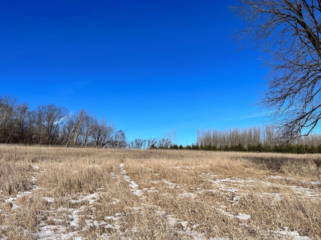 21781 110th St, Birchdale Twp MN, 56378 land for sale