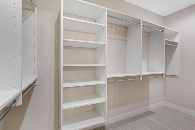 9568 63rd St S, Cottage Grove, MN 55016 - walk in closet featuring carpet