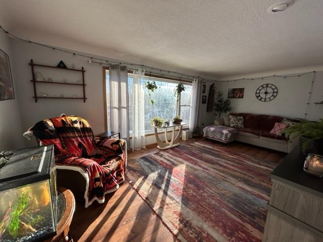 living room with dark wood-type flooring and a textured ceiling