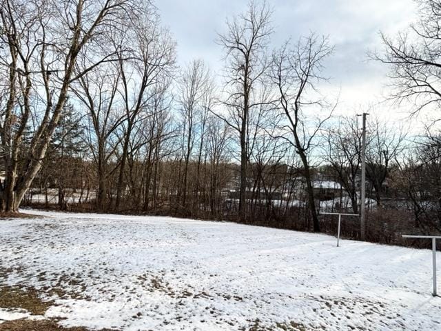 view of snowy yard