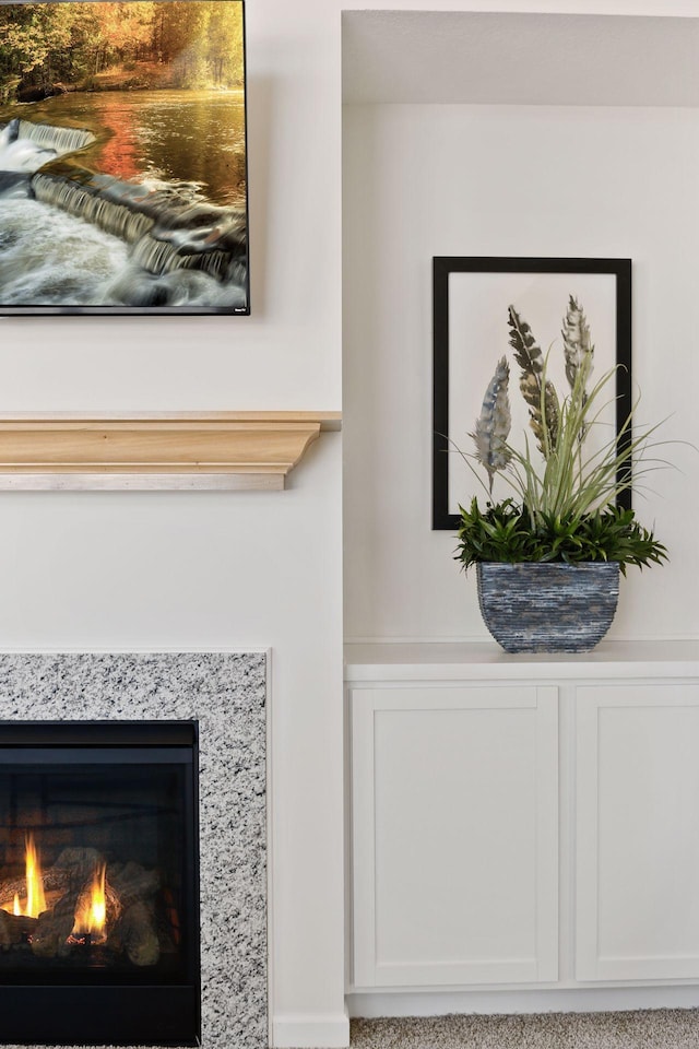 room details featuring a premium fireplace