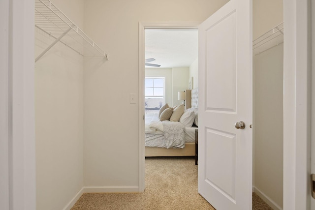 spacious closet featuring light colored carpet