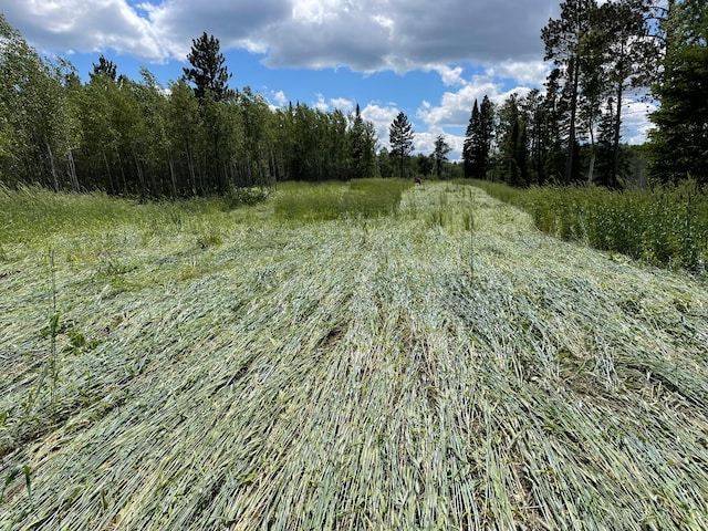 view of nature