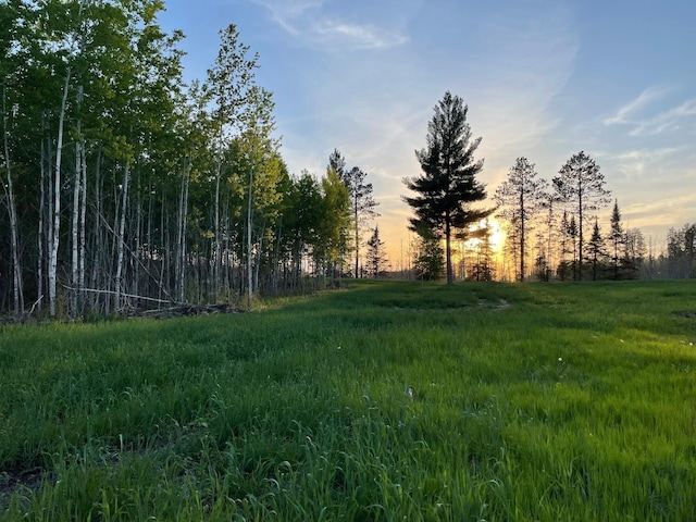 view of nature at dusk