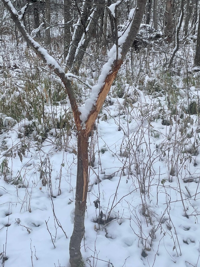 view of snowy landscape