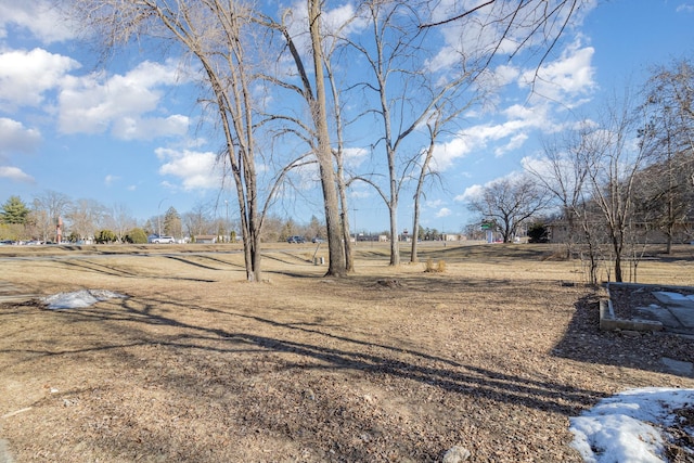 view of yard with a rural view