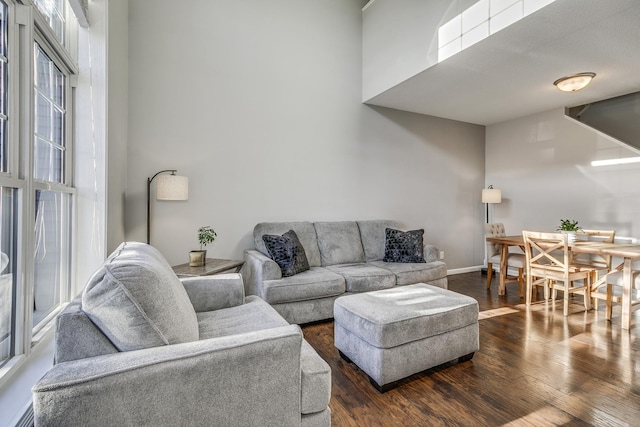 living room with dark wood-type flooring