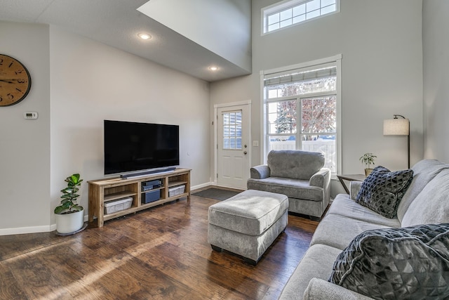 living room featuring a high ceiling and dark hardwood / wood-style floors