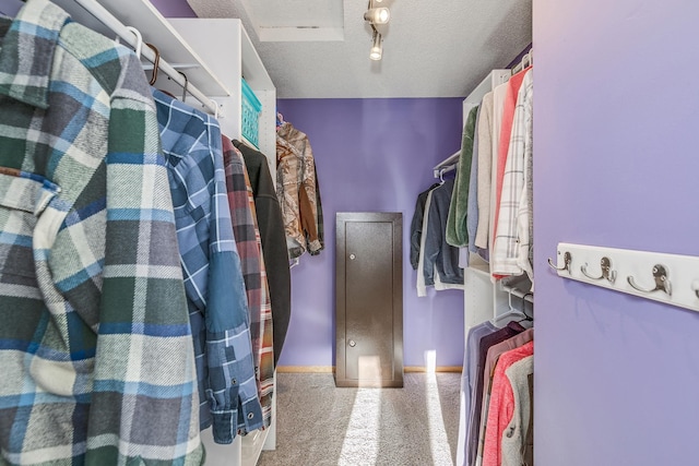 walk in closet with carpet floors