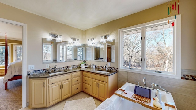 bathroom featuring vanity and a bathing tub