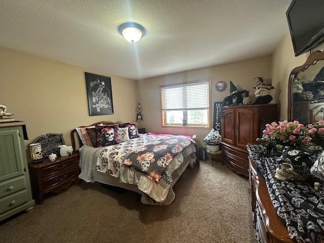 112 Bay Rd, Coleraine, MN 55722 - bedroom featuring carpet floors and a textured ceiling