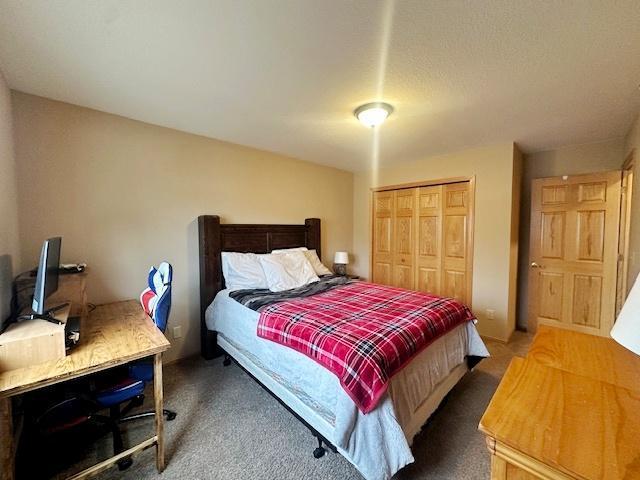 112 Bay Rd, Coleraine, MN 55722 - bedroom featuring carpet and a closet