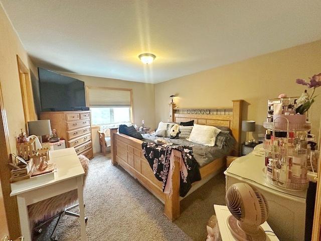 112 Bay Rd, Coleraine, MN 55722 - bedroom with light carpet
