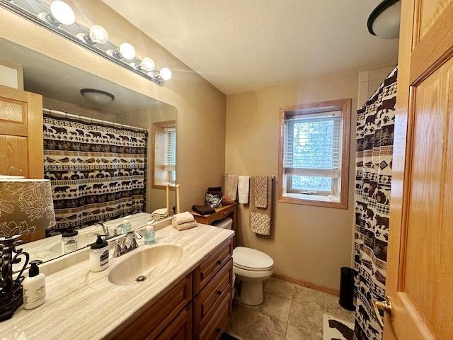 112 Bay Rd, Coleraine, MN 55722 - bathroom featuring toilet, vanity, a shower with curtain, and tile patterned floors