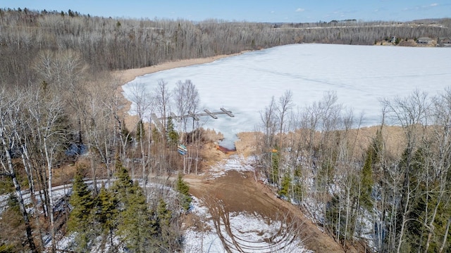 112 Bay Rd, Coleraine, MN 55722 - aerial view of property and surrounding area featuring a heavily wooded area