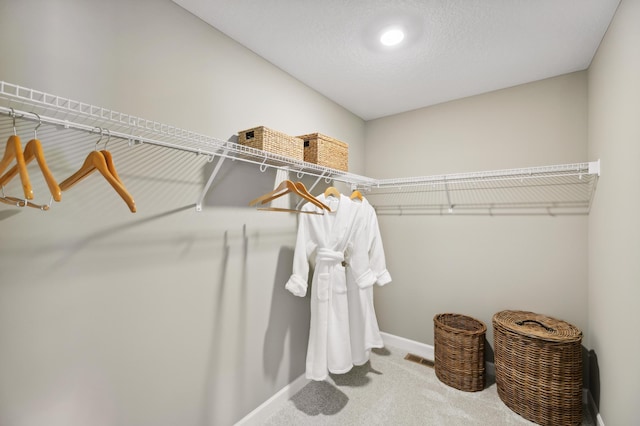 walk in closet featuring carpet floors