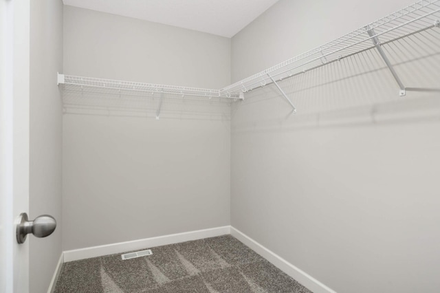 spacious closet with carpet floors