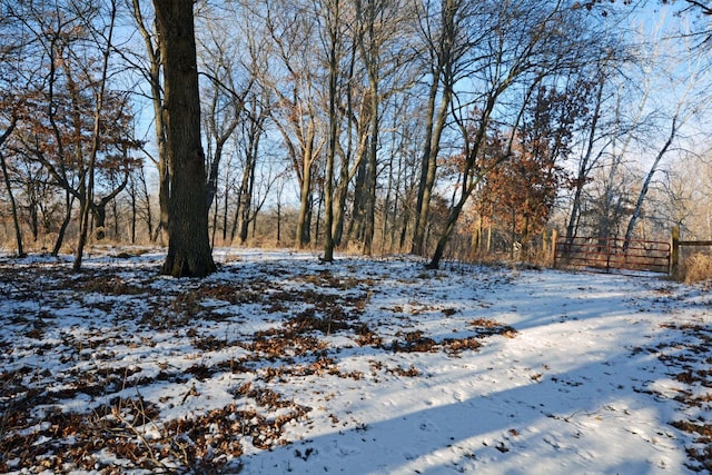 view of snowy yard