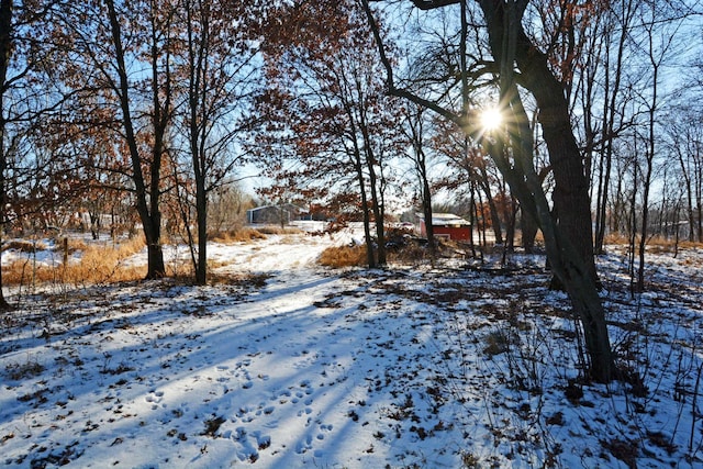 view of yard layered in snow