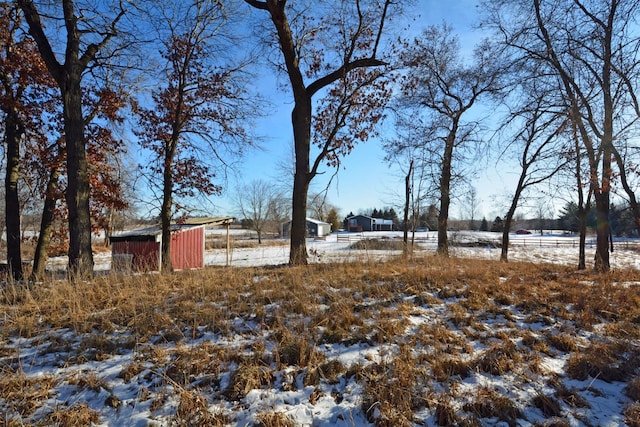 view of yard covered in snow