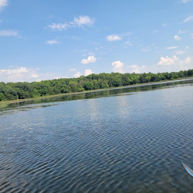 XX1 580th, Greenleaf Twp, MN 55355