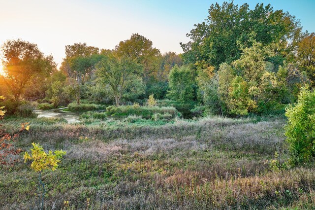 XX1 580th, Greenleaf Twp, MN 55355