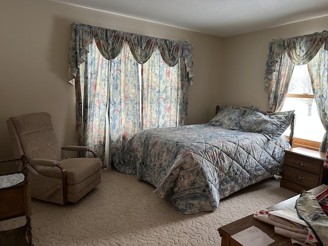 bedroom with carpet flooring