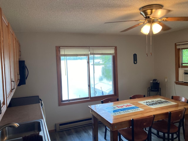 dining space featuring a baseboard radiator, plenty of natural light, and sink