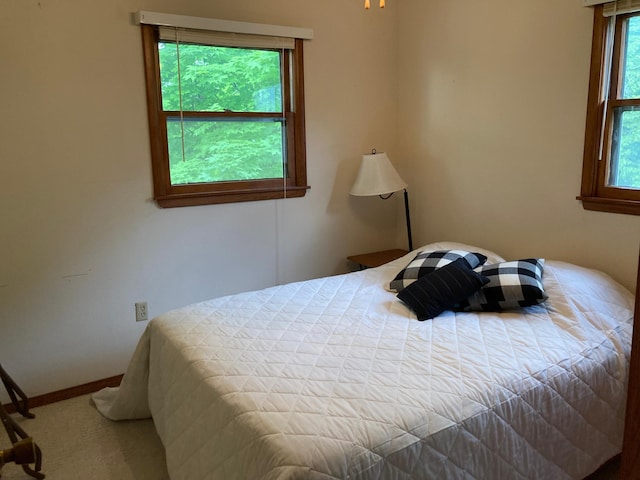 bedroom with carpet flooring