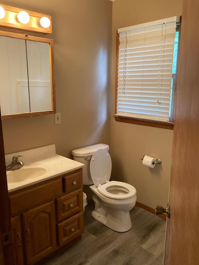 bathroom with vanity, wood-type flooring, and toilet