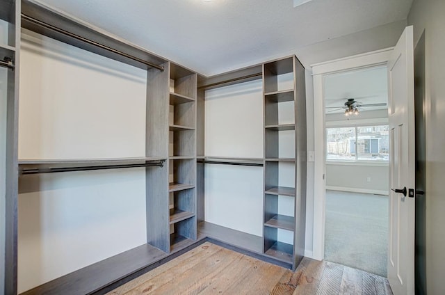 spacious closet with ceiling fan and hardwood / wood-style floors